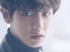 [찬백카디] 달려라 호랑님!