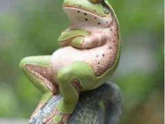 맹수들 (미리보기)