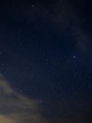 환청과 함께하는 재수