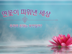 연꽃이 피워낸 세상