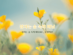 잠자는 숲 속의 미남