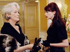 <체서피크 쇼어>부터 <악마는 프라다를 입는다>까지