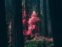 하늘이 하늘이고 바다가 바다라면