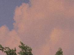 五月의 告白(上)