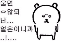 [프라로드프라] 섬 A