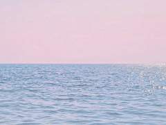 살려달란말을하기도