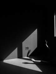 영화 리뷰&서평