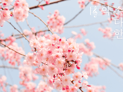 [마기카로기아 시나리오] 약속을 다시 한번