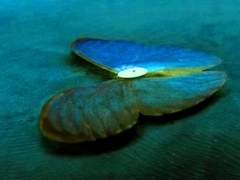 서현을 보고 배우자