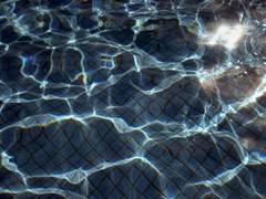 내 체취는 쌉싸름한 바다 내음이었다