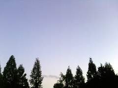 세상속에 갇힌 여자