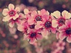 이 서월 / XX / 인간