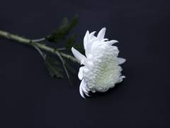 익숙해진다는 것