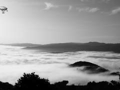 [홍부] if i love 2