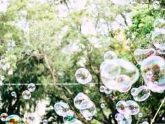 [해은] 자라나라 새싹아