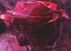 이한결/20/사내복지부 팀장