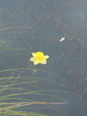 그저 모든 것이 꿈같은 이야기였다.