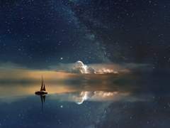 닮았지만 전혀 다른