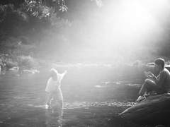 시리즈 카테고리