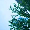 무명회랑 / 無名回廊