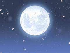 춘신회후 프로필