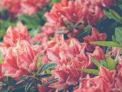 너에게 감치다. 05