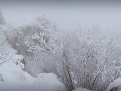 [포평사니] 비참은 눈과 함께 내리고