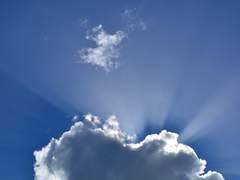 Raymiller Grita / 7학년