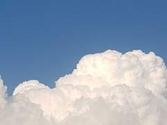 떨어진 조각은 오래가지 못했으며