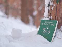 홀로 숲으로 떠나다, 독후감.