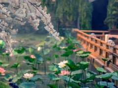 [희신강징] 상사병 - 2