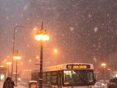 겨울을 서술하라 [프롤로그] : 00