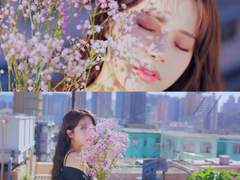 [문썬] 다소니다소다-16