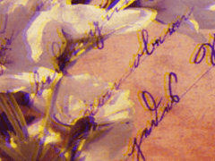 제 욕심을 받아줄 수 있나봐요?