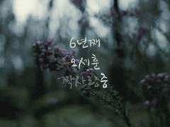 6년째 오세훈 짝사랑중 11