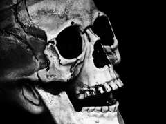 진심을 담아 너에게 바친다