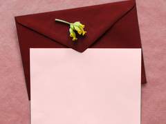 이것은 편지입니다