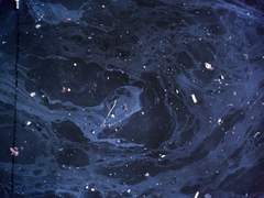 일렁이는 渴望.