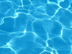 반이다 XX 마을 주민