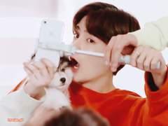 🐶🐱🌰🍞 TALK ㅡ IF 🐶❤