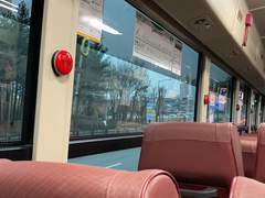 캐릭터들의 실제 모티브