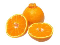 애들 짤 찾다가 급 생각난 소재