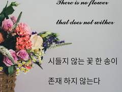 저주란 존재하는가?