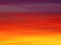 Asha Blanche : 24 : 안전팀