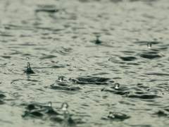 네 안녕의 존속을 위하여.