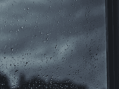 마에다 코시로 (前田 こうしろ)