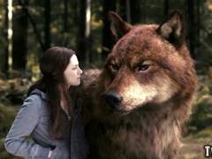 인간 아이에게 각인된 늑대인간 1