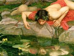 Narcissus