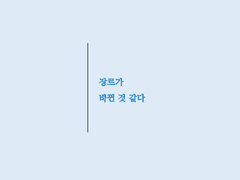 시선