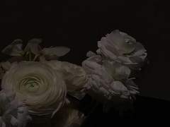 우리들의 과거는 철거되었지만